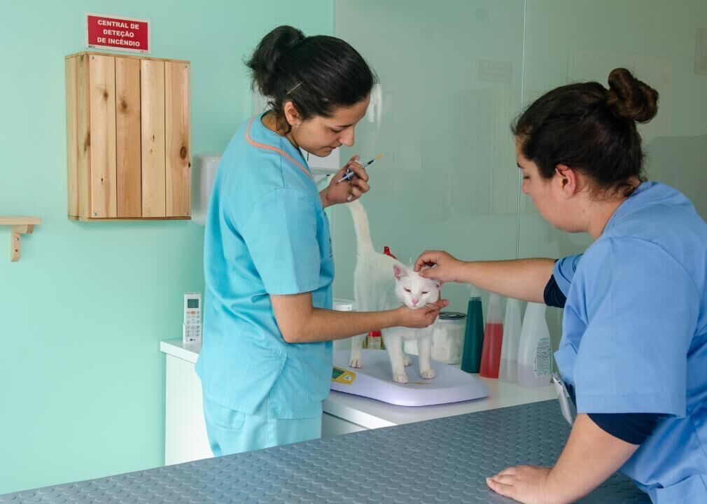 #15. Veterinary technology